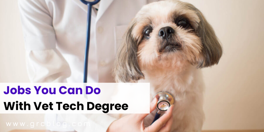 What Can You Do With A Vet Tech Degree