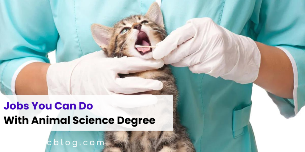 What Can You Do With An Animal Science Degree
